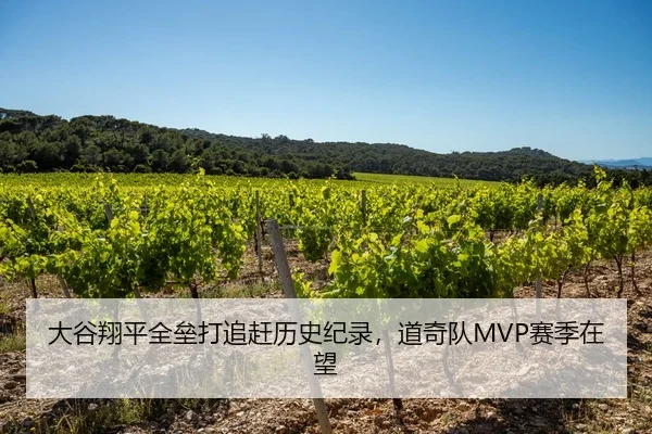 大谷翔平全垒打追赶历史纪录，道奇队MVP赛季在望