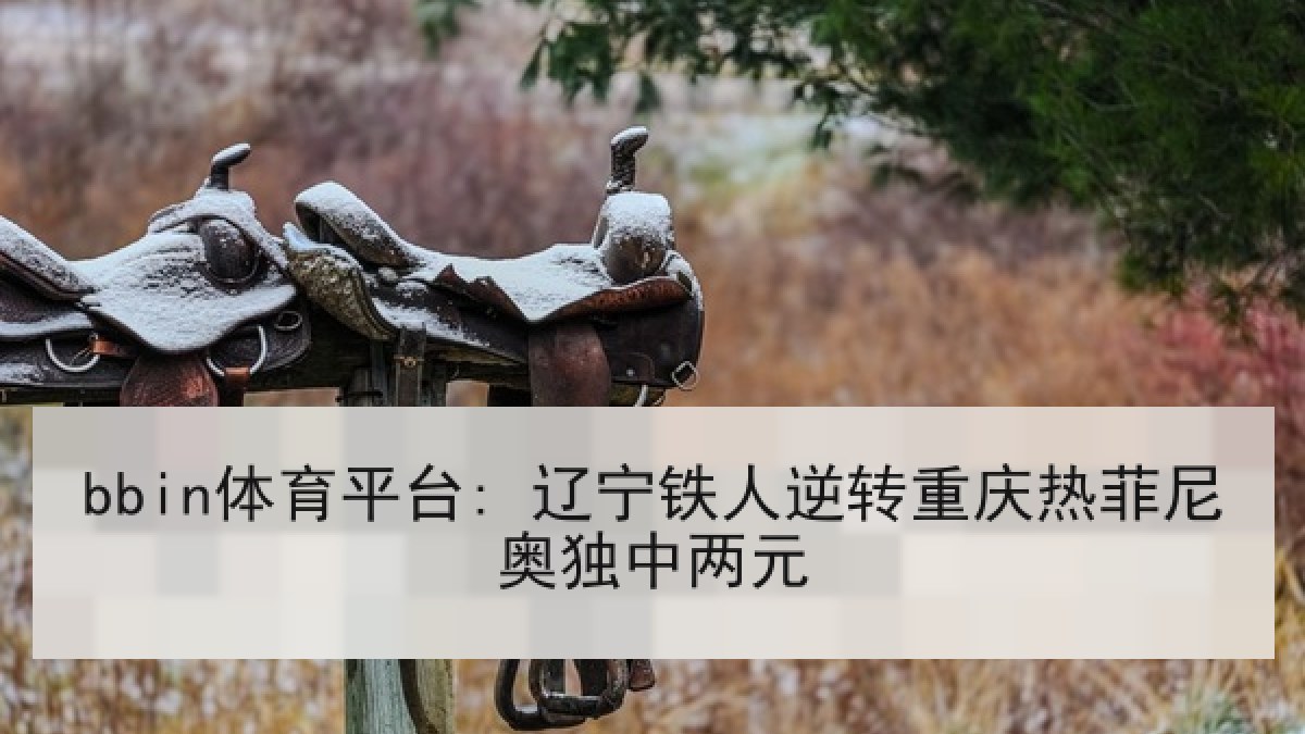 bbin体育平台: 辽宁铁人逆转重庆热菲尼奥独中两元
