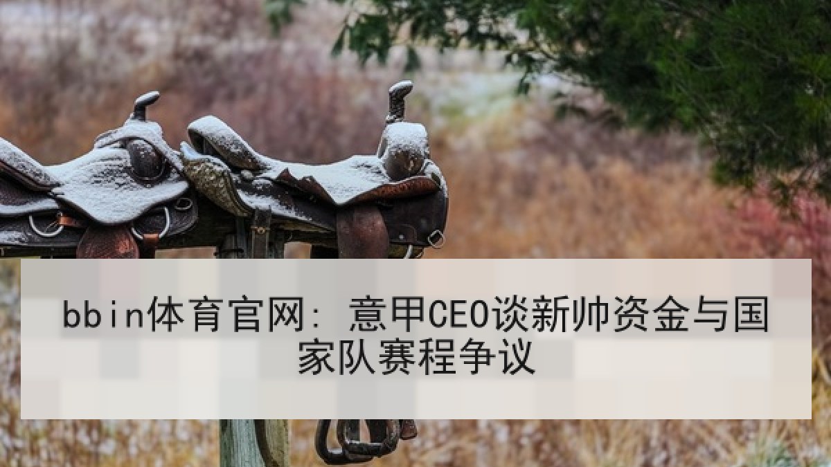 bbin体育官网: 意甲CEO谈新帅资金与国家队赛程争议