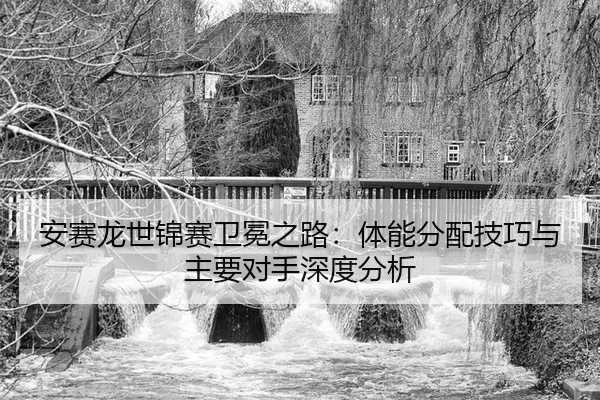 an-sai-long-shi-jin-sai-wei-mian-zhi-lu-ti-neng-fen-pei-ji-qiao-yu-zhu-yao-dui-shou-shen-du-fen-xi-3-817.jpg