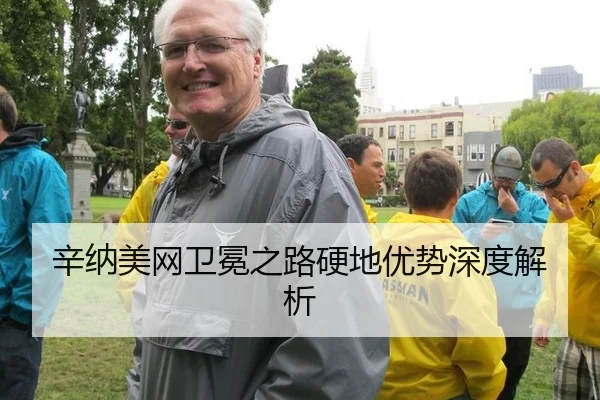 辛纳美网卫冕之路硬地优势深度解析